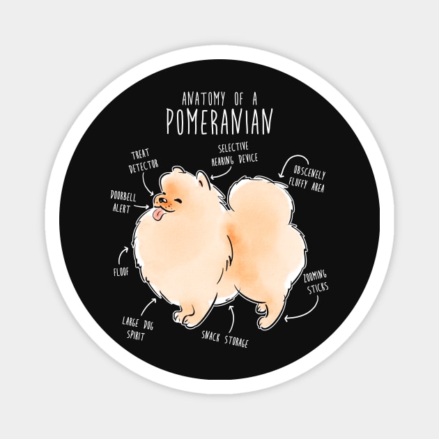 Pomeranian Anatomy Magnet by Psitta